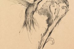 colibri @marcozilveti