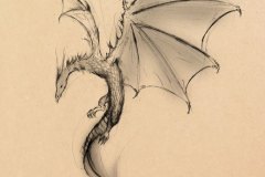 dragon @marcozilveti