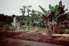 Irian Jaya 1994. Marco ZILVETI.