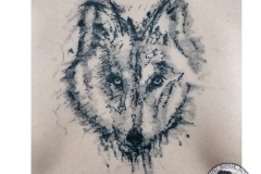 Loup wolf @L'Esprit Frappeur Tattoo - Marco ZILVETI