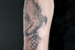 Corbeau @Marco ZILVETI