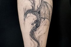 dragon @Marco ZILVETI