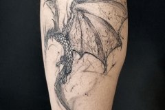 dragon @Marco ZILVETI