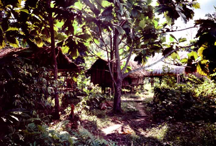 Irian Jaya 1994. Marco ZILVETI.